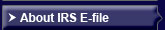 About IRS E-file
